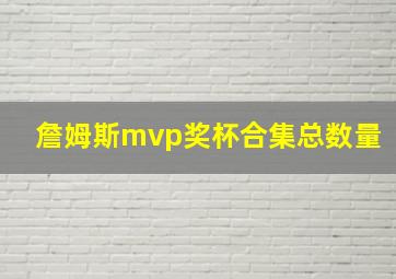 詹姆斯mvp奖杯合集总数量