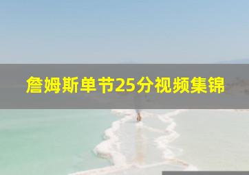 詹姆斯单节25分视频集锦