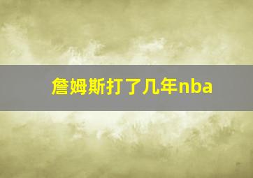 詹姆斯打了几年nba