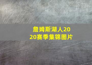 詹姆斯湖人2020赛季集锦图片