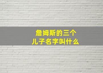 詹姆斯的三个儿子名字叫什么