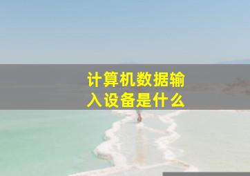 计算机数据输入设备是什么