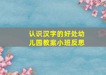 认识汉字的好处幼儿园教案小班反思