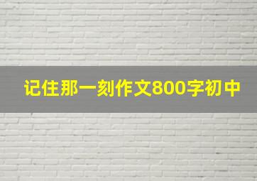 记住那一刻作文800字初中