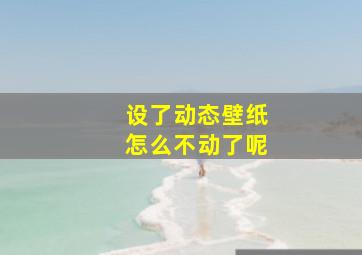 设了动态壁纸怎么不动了呢