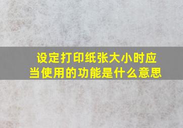 设定打印纸张大小时应当使用的功能是什么意思