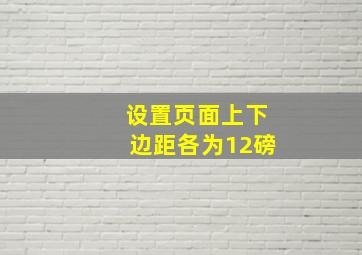 设置页面上下边距各为12磅