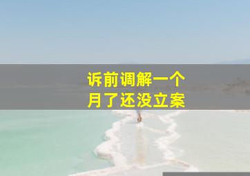 诉前调解一个月了还没立案