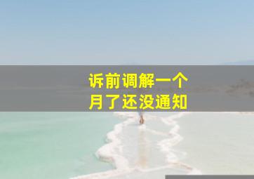 诉前调解一个月了还没通知