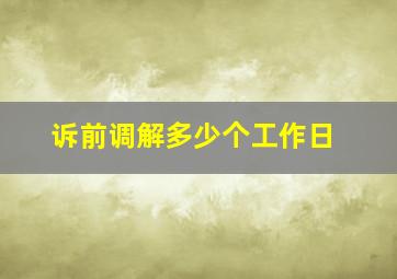 诉前调解多少个工作日