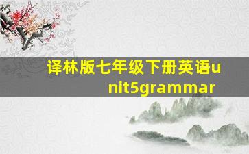 译林版七年级下册英语unit5grammar