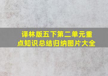 译林版五下第二单元重点知识总结归纳图片大全