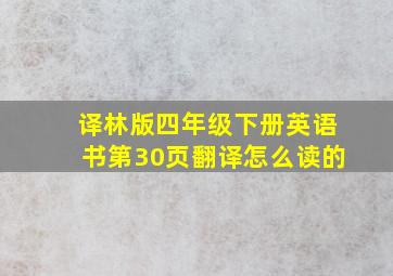 译林版四年级下册英语书第30页翻译怎么读的