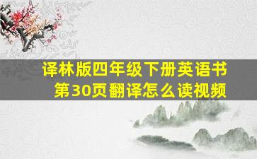 译林版四年级下册英语书第30页翻译怎么读视频