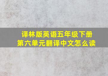 译林版英语五年级下册第六单元翻译中文怎么读