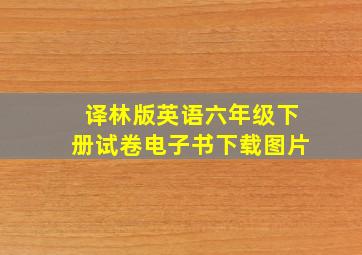 译林版英语六年级下册试卷电子书下载图片