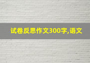 试卷反思作文300字,语文