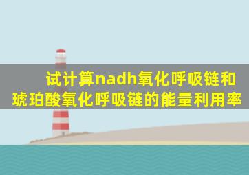 试计算nadh氧化呼吸链和琥珀酸氧化呼吸链的能量利用率