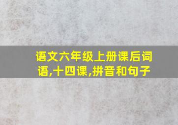 语文六年级上册课后词语,十四课,拼音和句子