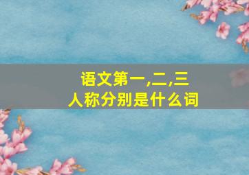 语文第一,二,三人称分别是什么词