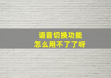 语音切换功能怎么用不了了呀