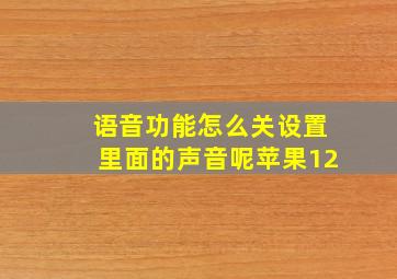 语音功能怎么关设置里面的声音呢苹果12