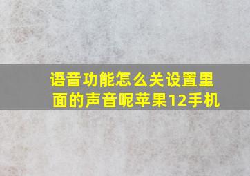 语音功能怎么关设置里面的声音呢苹果12手机