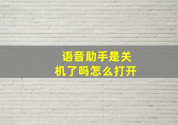 语音助手是关机了吗怎么打开