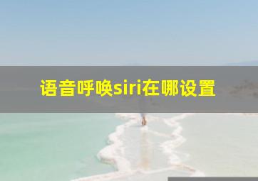 语音呼唤siri在哪设置