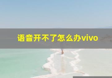 语音开不了怎么办vivo