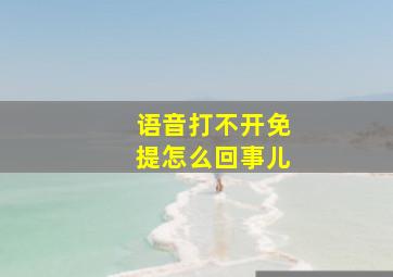 语音打不开免提怎么回事儿