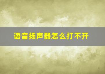 语音扬声器怎么打不开