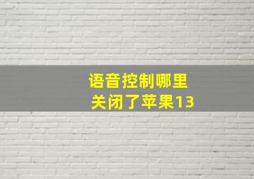 语音控制哪里关闭了苹果13