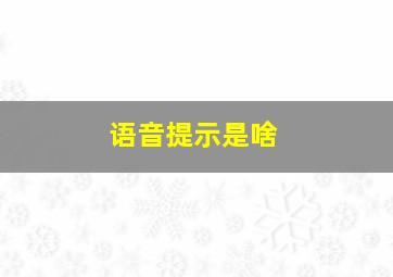 语音提示是啥