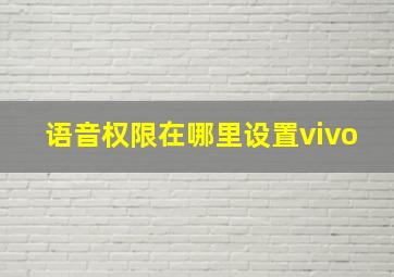 语音权限在哪里设置vivo