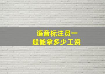 语音标注员一般能拿多少工资