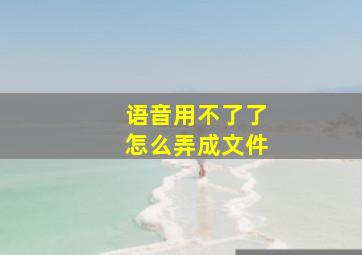 语音用不了了怎么弄成文件