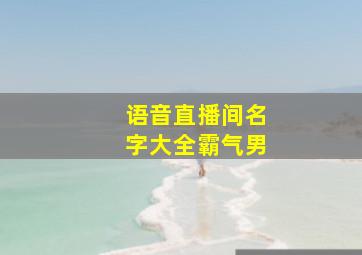 语音直播间名字大全霸气男