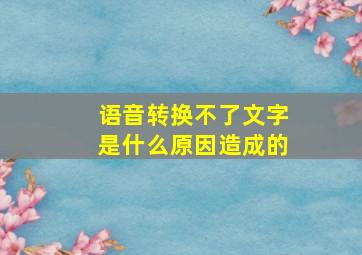 语音转换不了文字是什么原因造成的