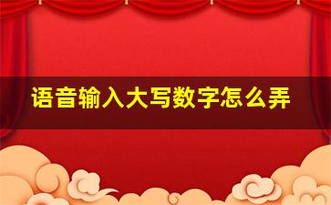 语音输入大写数字怎么弄