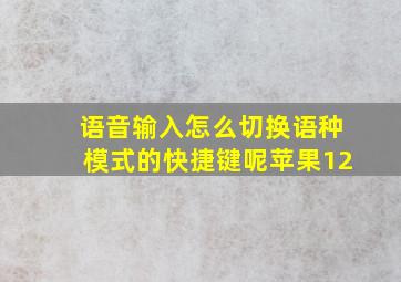 语音输入怎么切换语种模式的快捷键呢苹果12