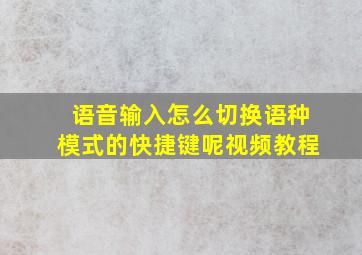 语音输入怎么切换语种模式的快捷键呢视频教程