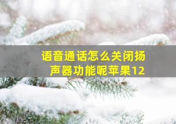 语音通话怎么关闭扬声器功能呢苹果12