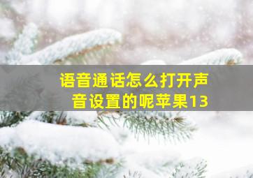 语音通话怎么打开声音设置的呢苹果13