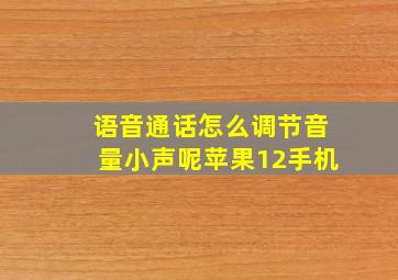 语音通话怎么调节音量小声呢苹果12手机