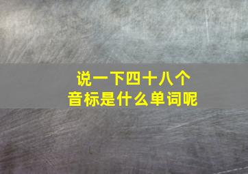 说一下四十八个音标是什么单词呢