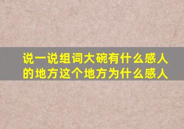 说一说组词大碗有什么感人的地方这个地方为什么感人