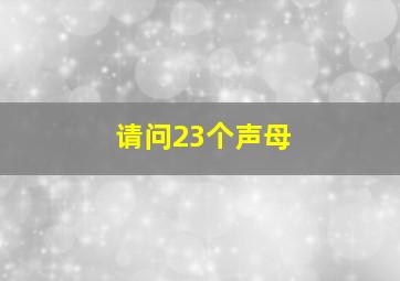 请问23个声母