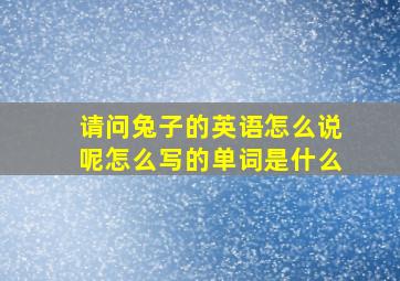 请问兔子的英语怎么说呢怎么写的单词是什么