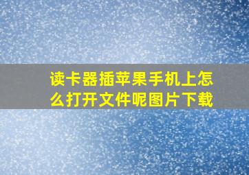 读卡器插苹果手机上怎么打开文件呢图片下载